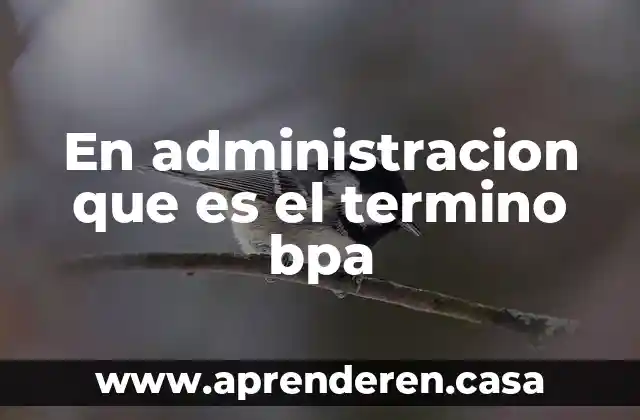 En administracion que es el termino bpa