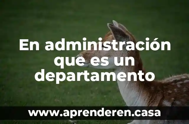 En administración que es un departamento