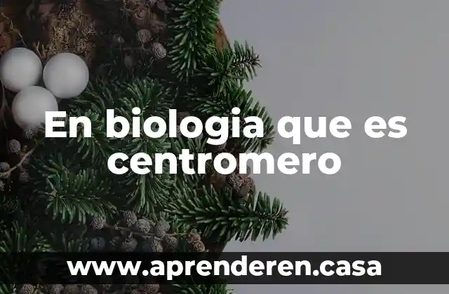 En biologia que es centromero