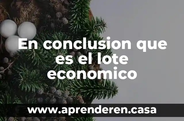 En conclusion que es el lote economico