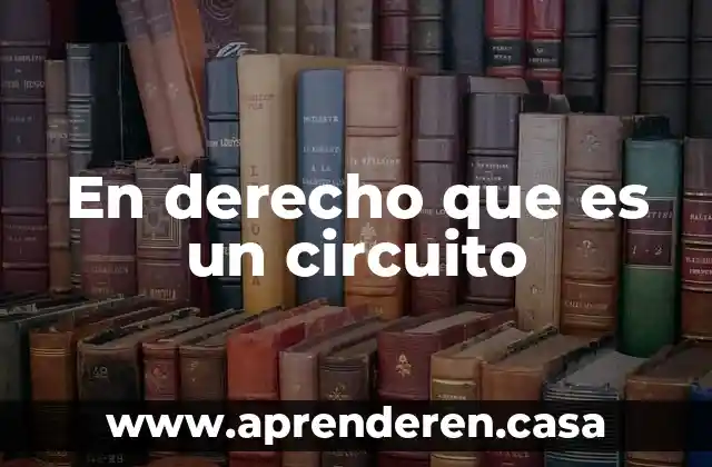 En derecho que es un circuito