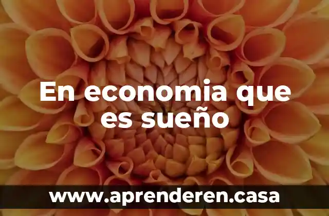 En economia que es sueño