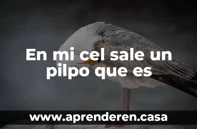 En mi cel sale un pilpo que es