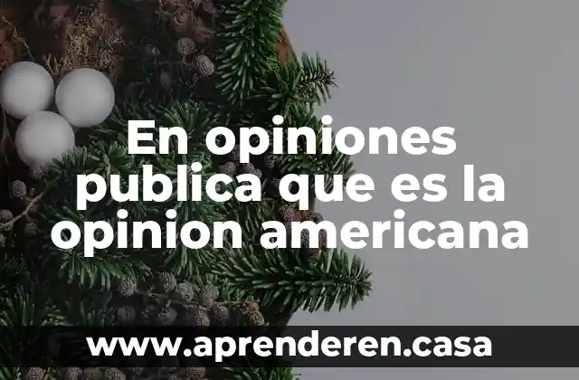 En opiniones publica que es la opinion americana