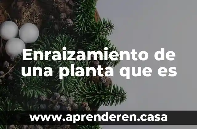 Enraizamiento de una planta que es