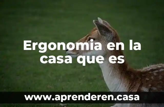 Ergonomia en la casa que es