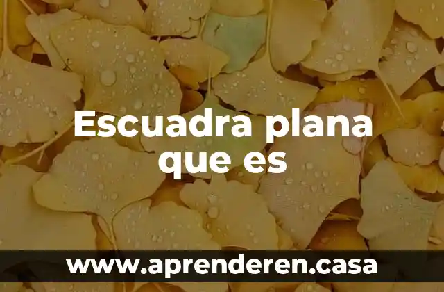 Escuadra plana que es