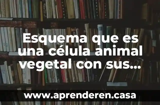 Esquema que es una célula animal vegetal con sus partes