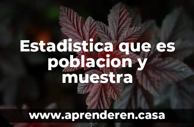 Estadistica que es poblacion y muestra