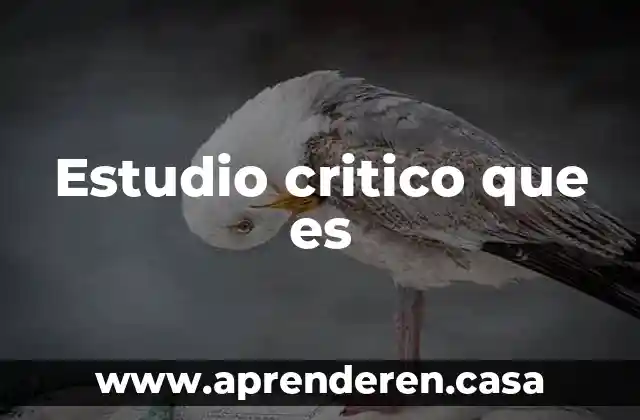 Estudio critico que es