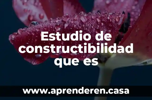 Estudio de constructibilidad que es