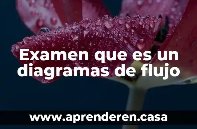 Examen que es un diagramas de flujo