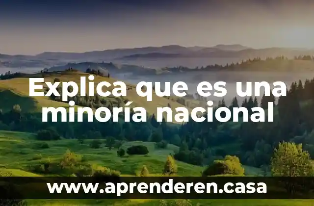 Explica que es una minoría nacional