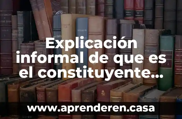 Que es prueba constituyente en el proceso civil 3 Explicación informal de que es el constituyente originario y derivado