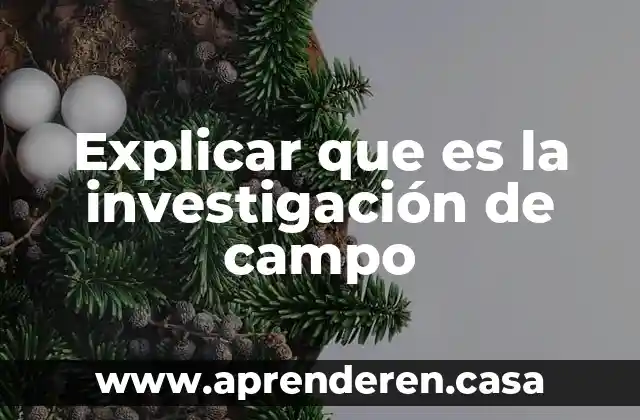 Que es una bobinas de campo en un motor universal 5 Explicar que es la investigación de campo