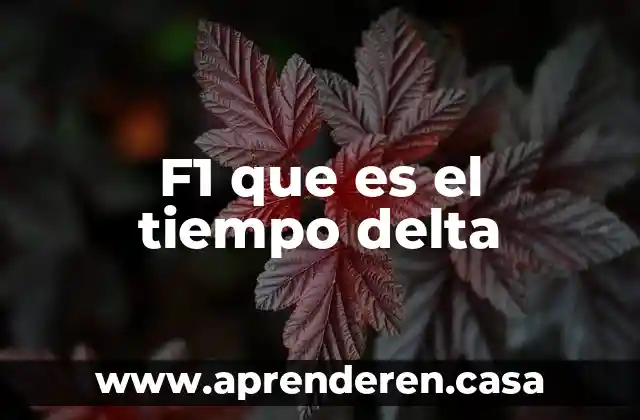 F1 que es el tiempo delta