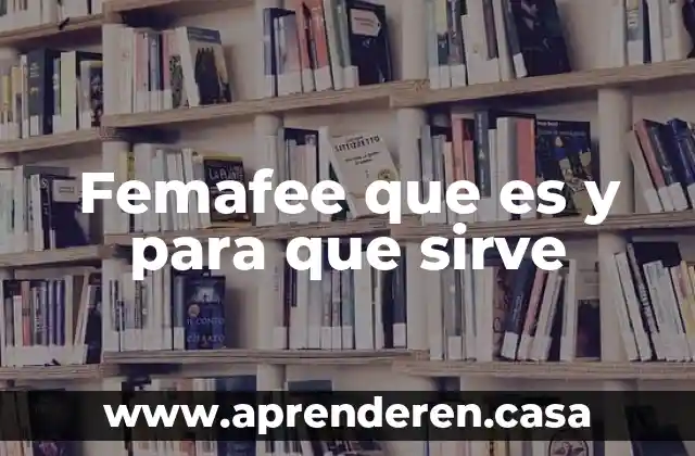 Para que sirve una organisacion y para que es 4 Femafee que es y para que sirve