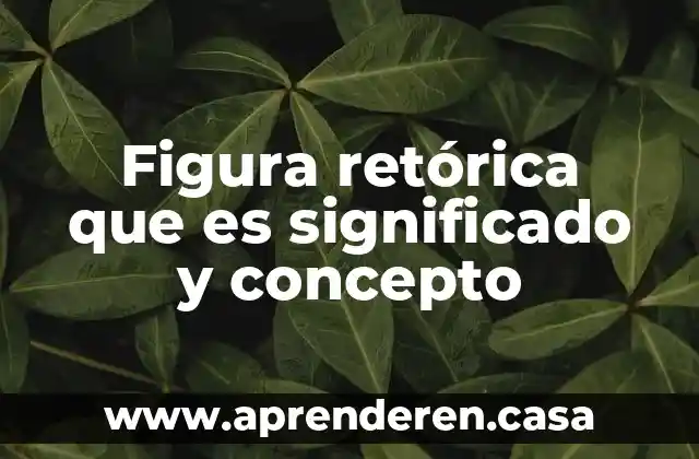 Figura retórica que es significado y concepto