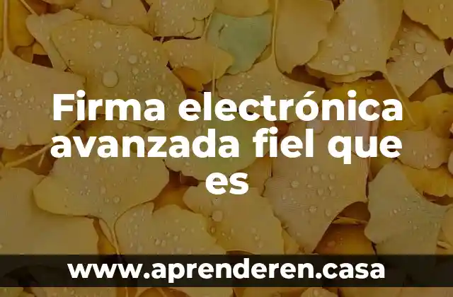 Firma electrónica avanzada fiel que es