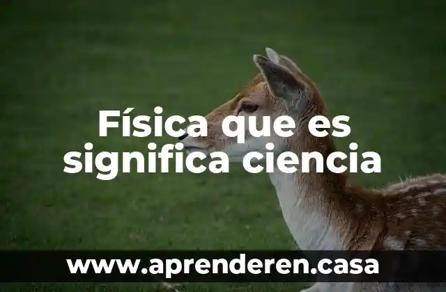 Física que es significa ciencia