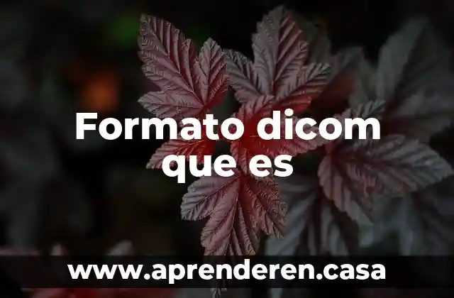 Formato dicom que es