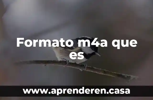 Formato m4a que es