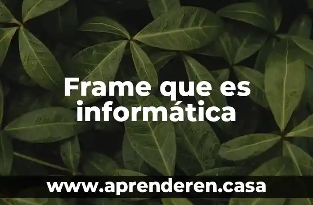 Frame que es informática