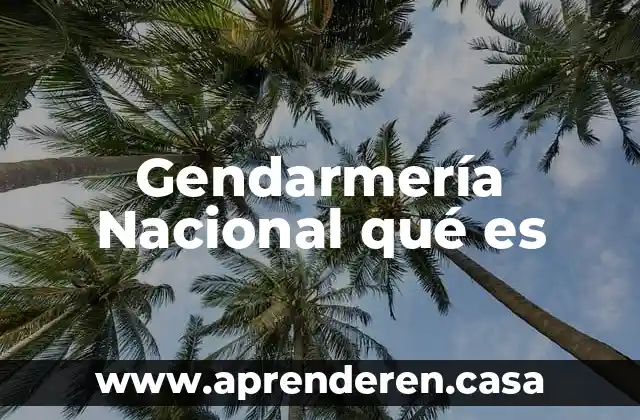 Gendarmería Nacional qué es