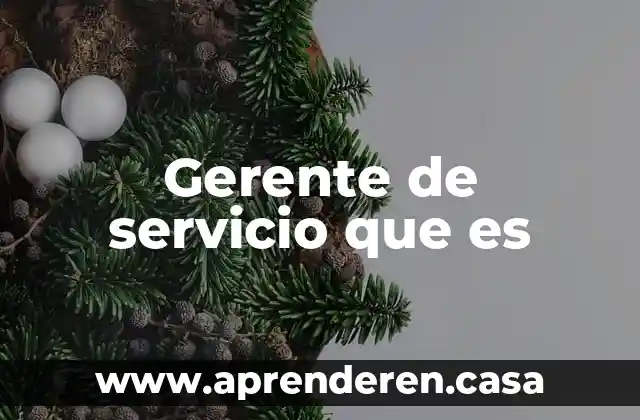 Gerente de servicio que es