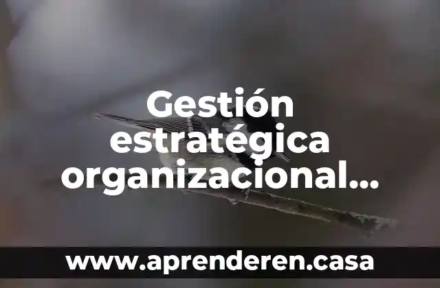 Gestión estratégica organizacional que es