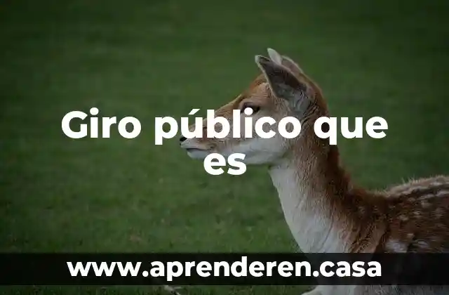 Giro público que es