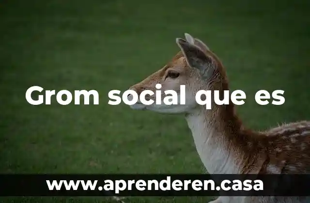 Grom social que es