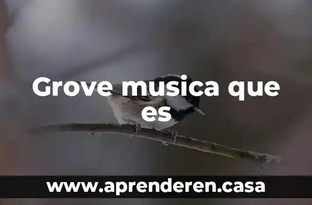 Grove musica que es