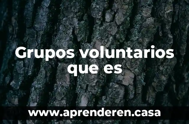 Grupos voluntarios que es