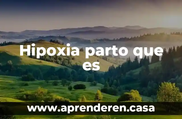 Anoxia parto qué es 7 Hipoxia parto que es