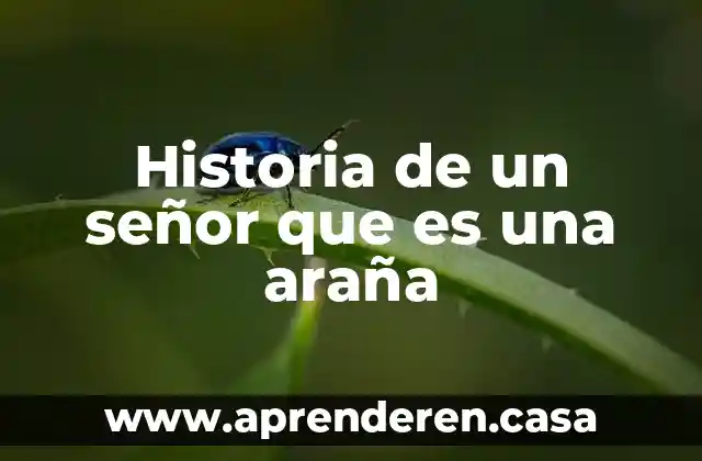 Historia de un señor que es una araña