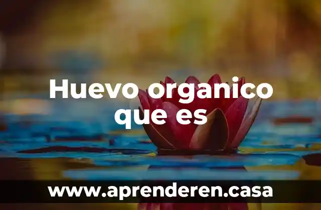 Huevo organico que es