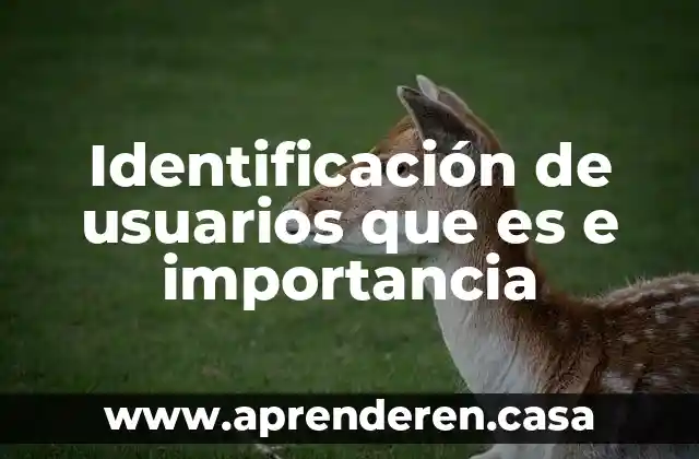 Identificación de usuarios que es e importancia