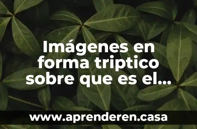 Imágenes en forma triptico sobre que es el bullying