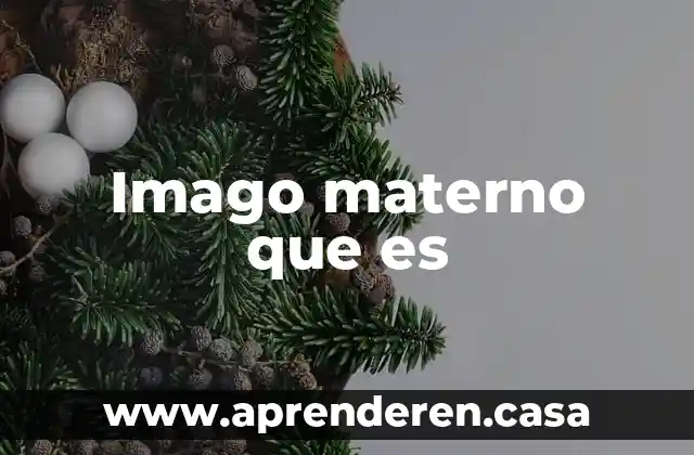 Imago materno que es