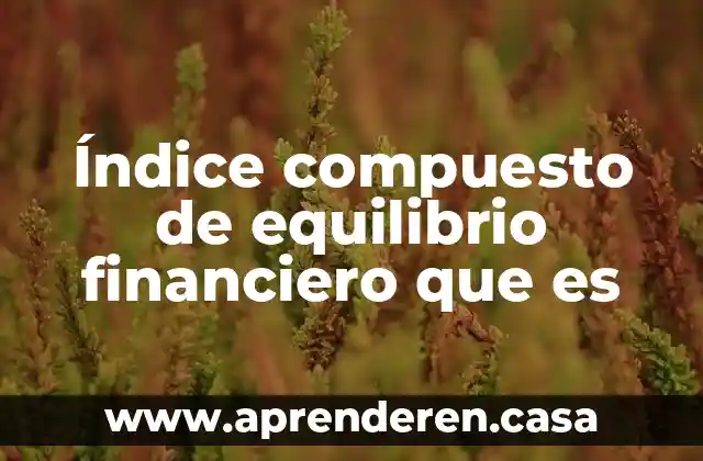 Índice compuesto de equilibrio financiero que es