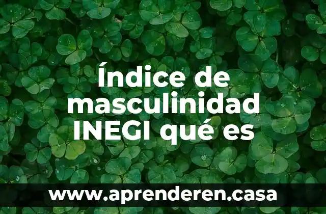 Índice de masculinidad INEGI qué es