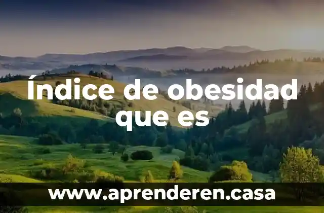 Índice de obesidad que es