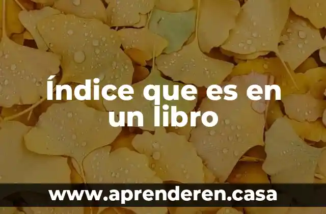 Que es un indice de un informe 5 Índice que es en un libro