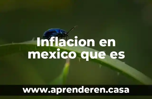 Inflacion en mexico que es
