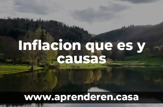 Inflacion que es y causas