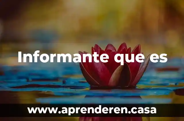 Informante que es