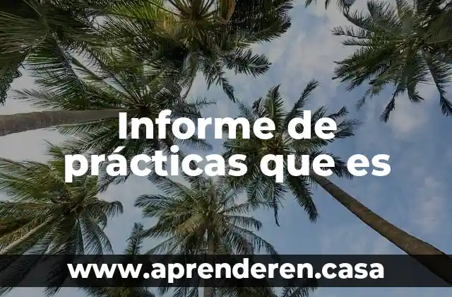 Informe de prácticas que es