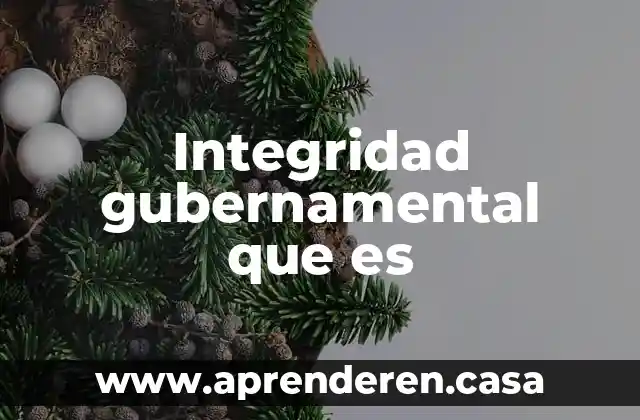 Integridad gubernamental que es