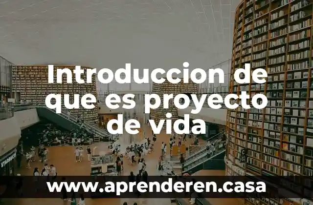 Introduccion de que es proyecto de vida